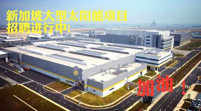 新加坡大型太阳能公司招募男女操作工
